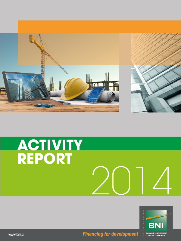 Activity report 2014